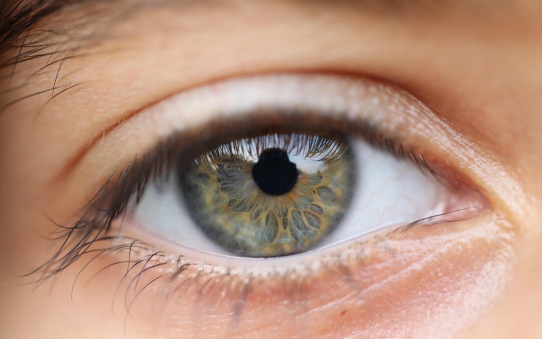 Dari Investasi Hingga Perbankan